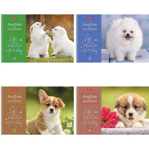 Альбомы, папки для рисования