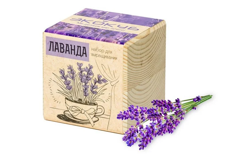 Набор для выращивания растений