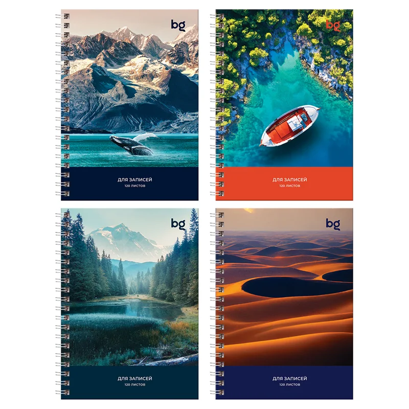 Записные книжки