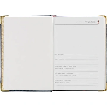 Ежедневник недатированный А5+, 145х205,Sidney Nebraska,син,з.уг 3-128/14