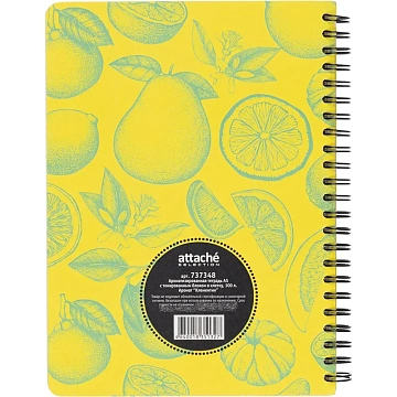 Бизнес-тетрадь  ароматизир.100л,кл,А5, КЛЕМЕНТИН,спир,тонир.блок 84906