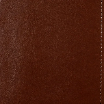 Ежедневник недатированный коричн, А5, 148x218, 352стр, Agenda