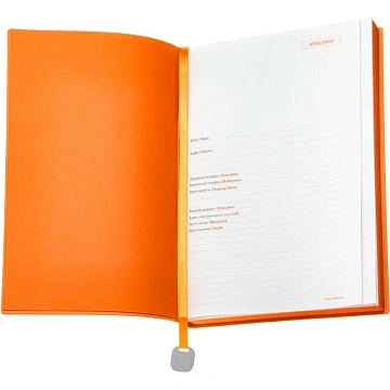 Ежедневник недатированный А5 Mercury белый 272 стр. 3-435/14