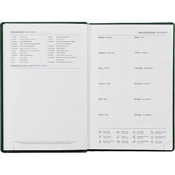 Ежедневник недатированный зеленый,А5,148х218,176л,ATTACHE Вива