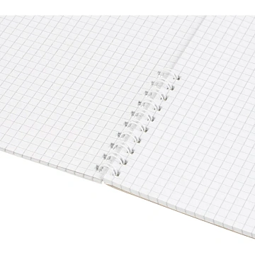 Тетрадь общая 48л,клет,А4,спир,обл.карт,Графо