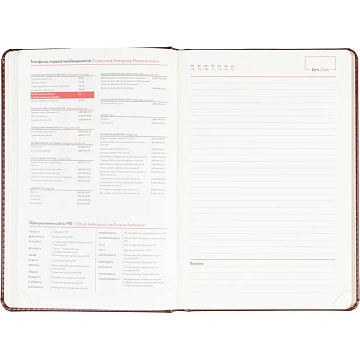 Ежедневник недатированный ATTACHE Gold А5,143х210мм, 160л, коричневый