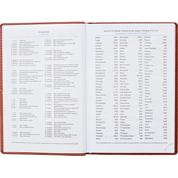 Ежедневник недатированный коричнев,А5,148х218мм,176л,ATTACHE Вива