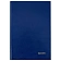 Книга учета 160 л., клетка, твердая, бумвинил, блок офсет, А4 200х290 мм, BRAUBERG, 130182