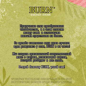 Напиток энергетический Burn Гуава, 449мл