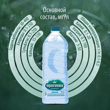 Вода питьевая Черноголовская 2.5л, ПЭТ