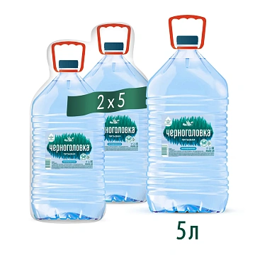 Вода Черноголовка природная питьевая негазированная, 5л