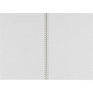 Бизнес-тетрадь А4 96л AttacheSelection Gold Collection клет,спир,карт,голуб