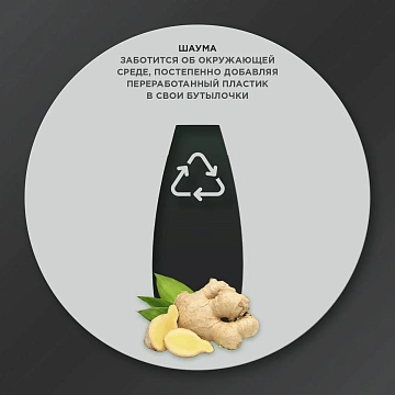 Шампунь Шаума Men Против перхоти Интенсивный, 650мл