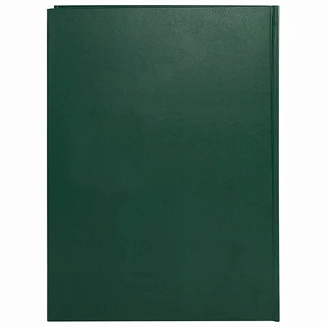 Книга учета 96 л., клетка, твердая, бумвинил, офсет, герб, А4 (200х290 мм), BRAUBERG, зеленая, 13027
