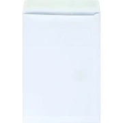 Пакет Белый B4стрип Businesspack250х353 120г 200шт/уп/5021