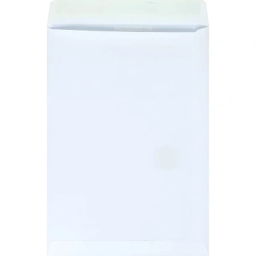 Пакет Белый B4стрип Businesspack250х353 120г 200шт/уп/5021