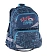 Рюкзак Pulse BACKPACK ANATOMIC BLUE SPEED, 41х28х20 см