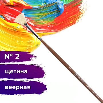 Кисть художественная профессиональная BRAUBERG ART CLASSIC, щетина, веерная, № 2, длинная ручка, 200
