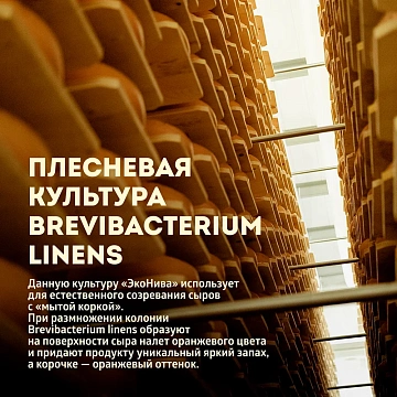 Сыр Эконива Durr Zeller твердый 55%, ~850г