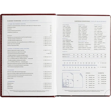 Ежедневник недатированный бордо,А5, 148x218, 352стр, Agenda