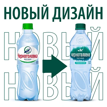 Вода Черноголовка питьевая газированная, 500мл x 12 шт