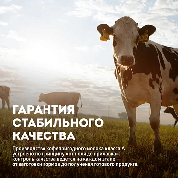 Молоко Эконива Professional Line 3.2%, ультрапастеризованное, 1л