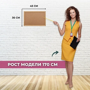 Доска пробковая 30х45 Attache Economy, деревянная рама