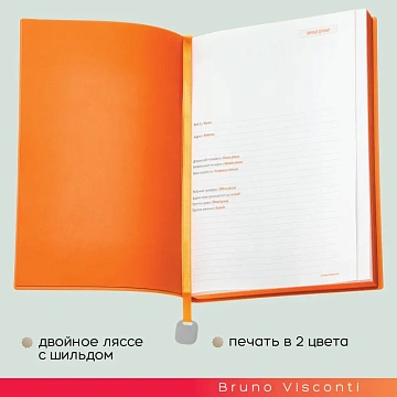 Ежедневник недатированный А5 Mercury белый 272 стр. 3-435/14