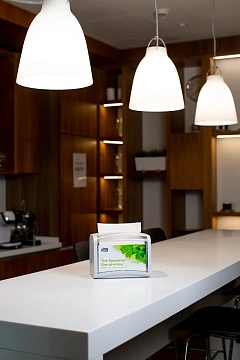 Диспенсерные салфетки Tellus (tork) Xpressnap N4 16x23см, белые, 2 слоя, 200шт, 10844 (10840)