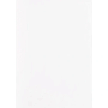 Папка уголок E-310 180мкр жест.пластик А4 бесцв.прозр.Россия 10шт/уп