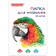 Папка для рисования БОЛЬШОГО ФОРМАТА А3, 40 л., 120 г/м2, ПИФАГОР, 297х420 мм, 'Попугай', 129219