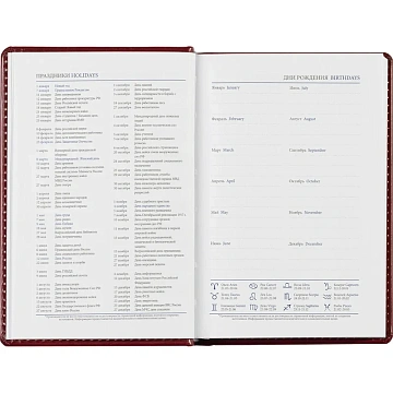 Ежедневник недатированный бордо, А6,100x150, 320стр, Agenda