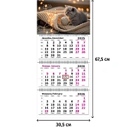 Календарь настенный 3-х блочный 2026 Трио Стандарт,305х675,Рыж. Джентельмен