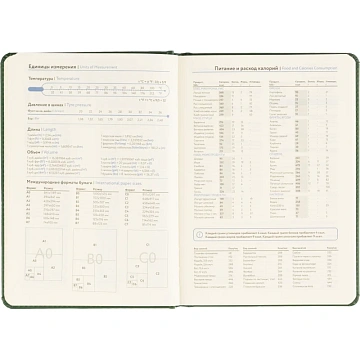 Ежедневник недатированный ATTACHE Classic А5,140х200мм,136л, темно-зеленый
