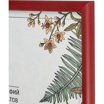 Рамка пластиковая Attache 21x30 (A4) ПЭТ Красная