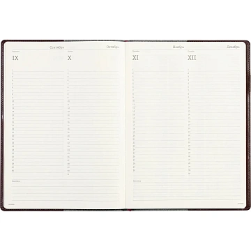 Еженедельник недатированный коричнев,A4,222х302мм,64л,Br.V.PROFY 3-098/03