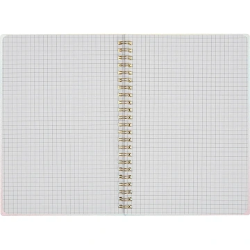 Бизнес-тетрадьAttache Selection Rainbow A5 80л,клетка,спираль145х208мм