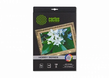 Фотобумага для струйных принтеров Cactus CS-DA419010 А4, 10 листов, 190 г/м2, матовая апельсин