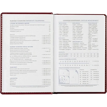 Ежедневник недатированный бордо, А6,100x150, 320стр, Agenda