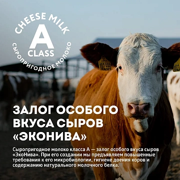 Сыр Эконива Щучанский полутвердый 50%, 200г