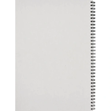 Тетрадь общая Attache Cristal,96л,клет,А4,спир,обл.мел.карт