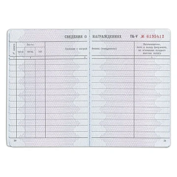 Бланк документа 'Трудовая книжка', 88х125 мм, ГОЗНАК