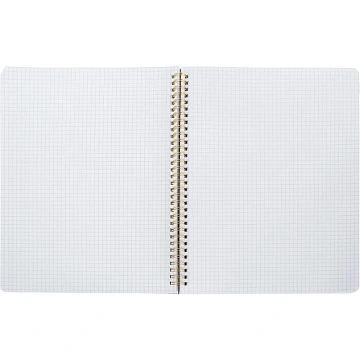 Бизнес-тетрадь Attache Selection Zebra А4,96л,кл,спир,пластик,тон.бл 202305