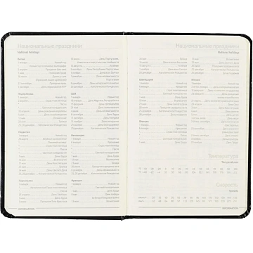 Ежедневник недатированный черный, А6,87х130,100л, Br.V.MEGAPOLIS 3-283/02