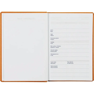 Ежедневник недатированный оранжевый,А5,143х210мм,176л,ATTACHE Сиам