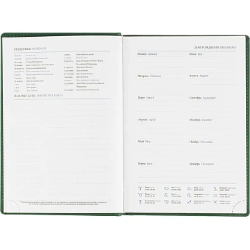 Ежедневник датированный 2026, зеленый,А5, 148х218 мм,352 стр,АТТАСНЕ Вива