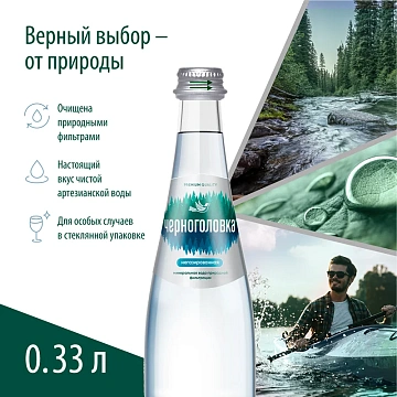 Вода Черноголовка питьевая негазированная, 330мл x 12 шт