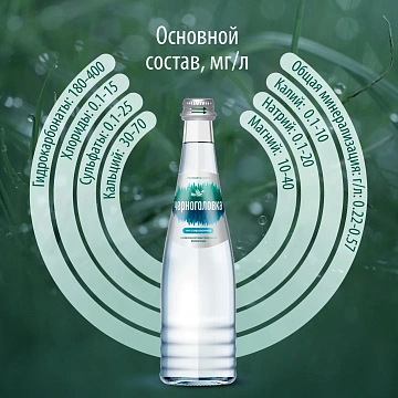 Вода Черноголовка питьевая негазированная, 330мл x 12 шт