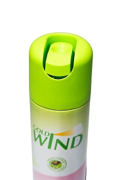 Освежитель воздуха Gold Wind 2 in 1 океан, 300мл, аэрозоль