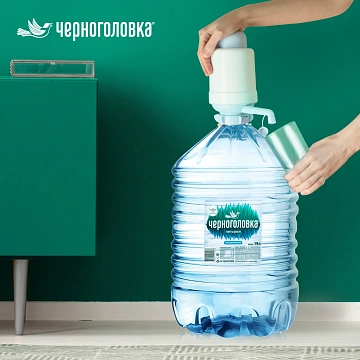 Вода Черноголовка питьевая негазированная, 19л